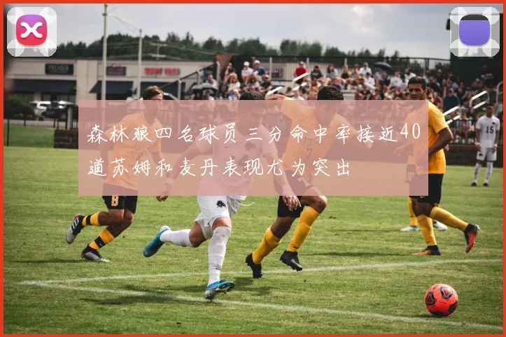 森林狼四名球员三分命中率接近40道苏姆和麦丹表现尤为突出
