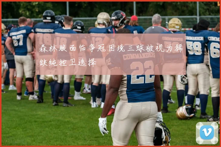 森林狼面临争冠困境三球被视为稀缺纯控卫选择